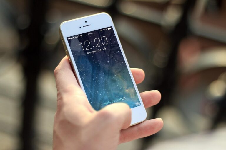 Guia Prático de Segurança Digital e Privacidade para o Cidadão Moderno